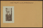 Richmond: Flagg Place - Toot Hill Road