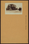 Richmond: Forest Avenue - Bard Avenue