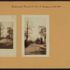 Richmond: Forest Hill Road - Richmond Hill Road