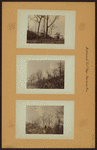 Richmond: Fort Place - Sherman Avenue
