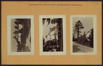 Richmond: Four Corners Road - Benedict Road