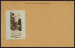 Richmond: Jewett Avenue - Watchogue Road