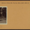 Richmond: Johnson Avenue - Arthur Kill Road