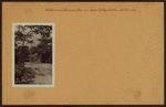 Richmond: Johnson Avenue - Arthur Kill Road