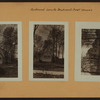 Richmond: Lamoka Boulevard - Cooke Street