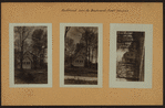 Richmond: Lamoka Boulevard - Cooke Street