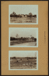 Richmond: Staten Island - LaTourette Park.