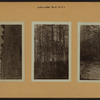 Richmond: Staten Island - LaTourette Park.