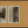 Richmond: Staten Island - LaTourette Park.
