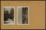 Richmond: Staten Island - LaTourette Park.
