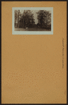 Richmond: Malory Avenue - Hylan Boulevard