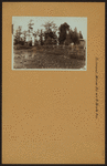 Richmond: Manor Road - Brielle Avenue
