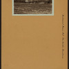 Richmond: Manor Road - 65th Street