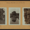 Richmond: Manor Road - Kent Avenue