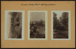 Richmond: Mason Street - Sparkill Avenue
