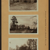 Richmond: Radcliff Road - Steuben Street
