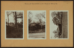 Richmond: Radcliff Road - Steuben Street