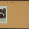 Richmond: Richmond Avenue - Travis Avenue