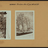 Richmond: Scarboro Avenue - Wandel Street