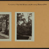 Richmond: Todt Hill Road - Browning Avenue