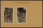 Richmond: Todt Hill Road - Flagg Place