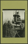 General view - New York Harbor.