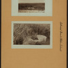Staten Island - Oakwood Beach - [Salt meadows ; Lake Hill.]