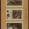 Bridges - High Bridge - [Harlem River - Connecting Manhattan at 174th Street, Highbridge Park to the Bronx at about 170th Street.]