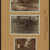 Cemeteries - Gravesend Cemetery - Brooklyn.
