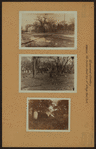 Cemeteries - Gravesend Cemetery - Brooklyn.