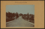 Cemeteries - Lutheran Cemetery (old) - Queens.