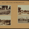 Cemeteries - Lutheran Cemetery (old) - Queens.