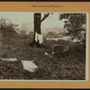 Cemeteries - Nagel Cemetery.
