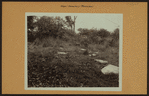 Cemeteries - Nagel Cemetery.