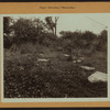 Cemeteries - Nagel Cemetery.
