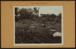 Cemeteries - Nagel Cemetery.