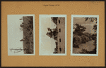 Colleges and Universities - Wagner College - Staten Island [Richmond.]