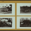 Farming - Vanderveer (Jacob) Farmhouse - [Flatbush, Brooklyn.]