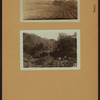 Farming - [Queens].