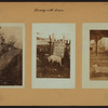 Farming in the Bronx.