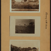 Farming in the Bronx.