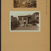 Farming in Brooklyn - Geese Farm.