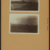 Farming (Queens)