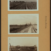 Farming - Queens.