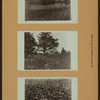 Farming on Staten Island [Richmond - Todt Hill.]