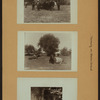 Farming on Staten Island [Richmond.]