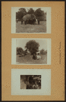 Farming on Staten Island [Richmond.]