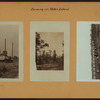 Farming on Staten Island