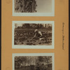 Farming on Staten Island