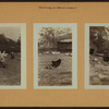 Farming on Staten Island
